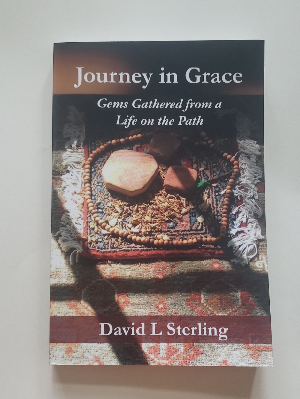 Journey in Grace by David L Sterling